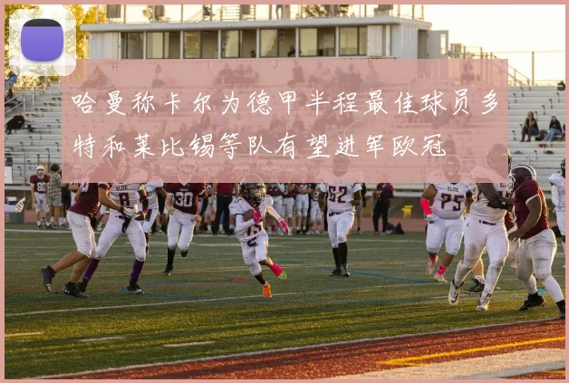 哈曼称卡尔为德甲半程最佳球员多特和莱比锡等队有望进军欧冠