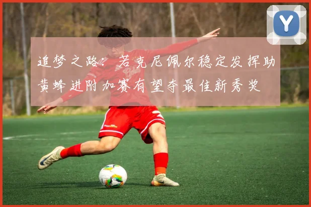 追梦之路：若克尼佩尔稳定发挥助黄蜂进附加赛有望夺最佳新秀奖