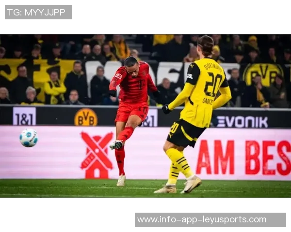 德甲新赛季观众热情高涨多特与拜仁上座人数引领潮流